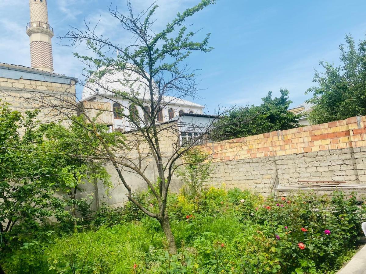 House In Quba Villa ภายนอก รูปภาพ